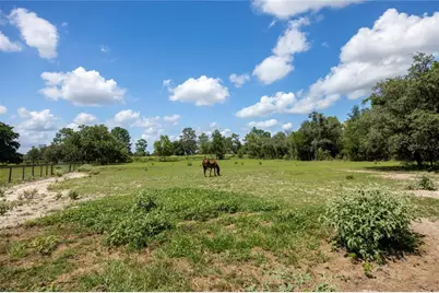11751 SE 16th Lane, Morriston, FL 32668 - Photo 67