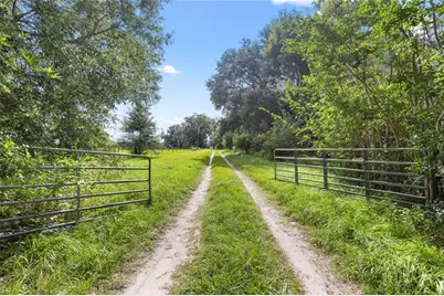 8250 Waukeenah Highway, Monticello, FL 32344 - Photo 29