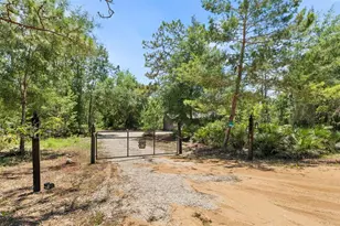 419 Lily Trail, Interlachen, FL 32148 - Photo 41