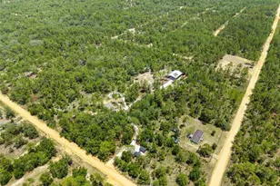 419 Lily Trail, Interlachen, FL 32148 - Photo 39