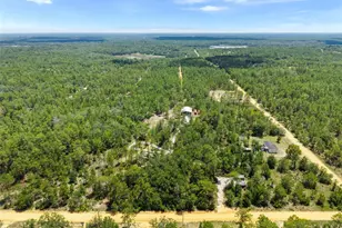 419 Lily Trail, Interlachen, FL 32148 - Photo 47