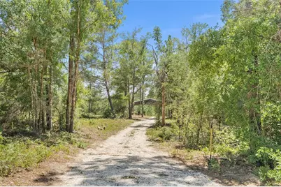 419 Lily Trail, Interlachen, FL 32148 - Photo 45