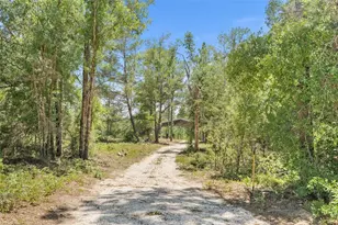 419 Lily Trail, Interlachen, FL 32148 - Photo 45