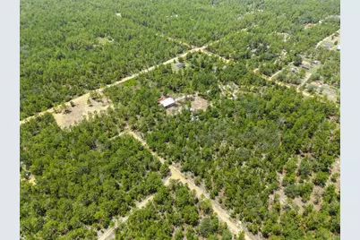 419 Lily Trail, Interlachen, FL 32148 - Photo 53