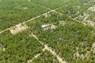 419 Lily Trail, Interlachen, FL 32148 - Photo 53