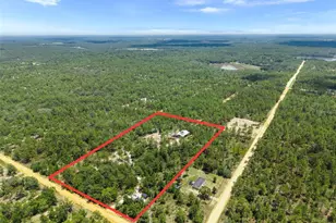 419 Lily Trail, Interlachen, FL 32148 - Photo 39