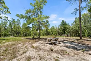 419 Lily Trail, Interlachen, FL 32148 - Photo 37