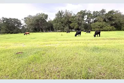 7532 SW 122nd Street, Gainesville, FL 32608 - Photo 29