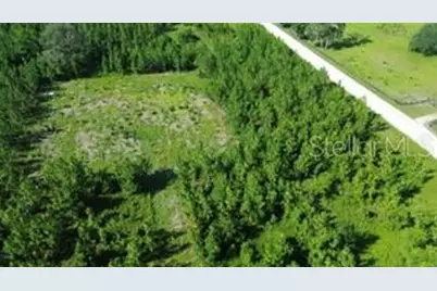 Sw Carpenter Road W, Lake City, FL 32024 - Photo 3