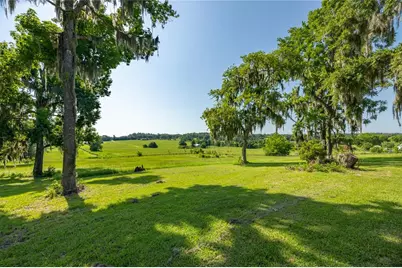 21601 Old Bellamy Road, Alachua, FL 32615 - Photo 7