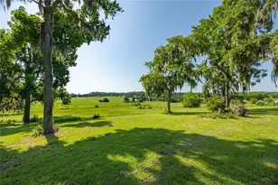 21601 Old Bellamy Rd, Alachua, FL 32615 - Photo 7