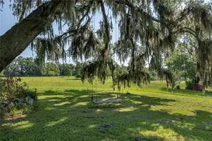21601 Old Bellamy Rd, Alachua, FL 32615 - Photo 39