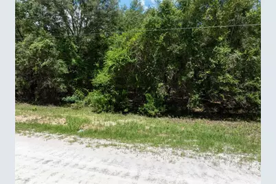 Lot 53 SW Roanoke Terrace, Fort White, FL 32038 - Photo 3