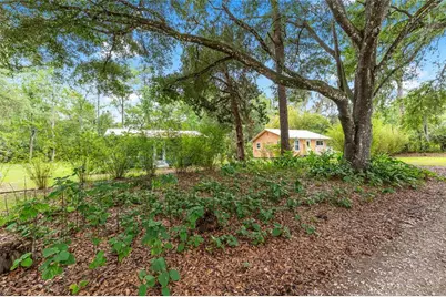 201-203 NE Tahota Avenue, Micanopy, FL 32667 - Photo 5