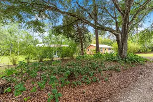 201-203 NE Tahota Ave, Micanopy, FL 32667 - Photo 5