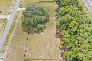 6095 SW 84th Ln, Trenton, FL 32693 - Photo 31