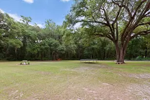 16221 SW 67 Pl, Archer, FL 32618 - Photo 3