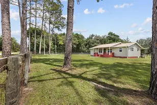 18950 NE 55th St, Williston, FL 32696 - Photo 45