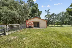 18950 NE 55th St, Williston, FL 32696 - Photo 31