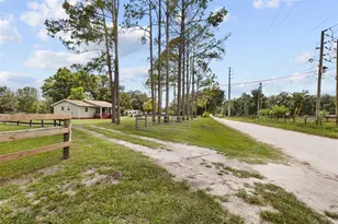 18950 NE 55th St, Williston, FL 32696 - Photo 37