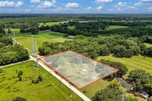 18950 NE 55th St, Williston, FL 32696 - Photo 47