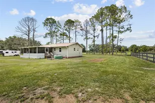18950 NE 55th St, Williston, FL 32696 - Photo 39
