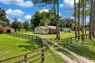 18950 NE 55th St, Williston, FL 32696 - Photo 49