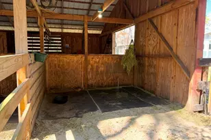 18950 NE 55th St, Williston, FL 32696 - Photo 53