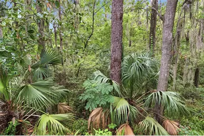 1732 NW 8th Avenue, Gainesville, FL 32603 - Photo 21