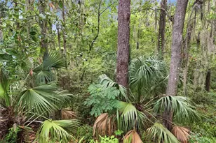 1732 NW 8th Ave, Gainesville, FL 32603 - Photo 21