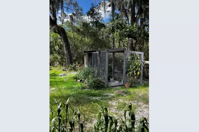 110 Plumosa Drive, Georgetown, FL 32139 - Photo 31