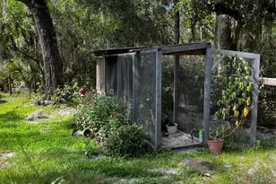 110 Plumosa Dr, Georgetown, FL 32139 - Photo 31