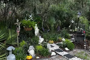 110 Plumosa Dr, Georgetown, FL 32139 - Photo 27
