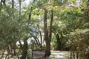 8315 Lilly Lake Rd, Melrose, FL 32666 - Photo 43