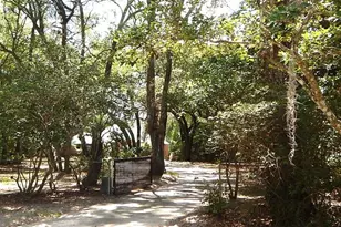 8315 Lilly Lake Rd, Melrose, FL 32666 - Photo 45