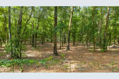 6679 NW 27th Place, Bell, FL 32619 - Photo 43
