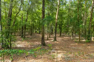 6679 NW 27th Pl, Bell, FL 32619 - Photo 43