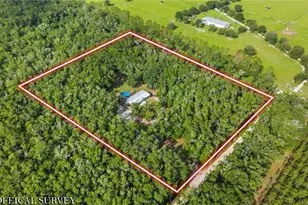 6679 NW 27th Pl, Bell, FL 32619 - Photo 55