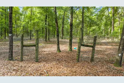6679 NW 27th Place, Bell, FL 32619 - Photo 47