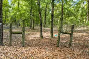 6679 NW 27th Pl, Bell, FL 32619 - Photo 47