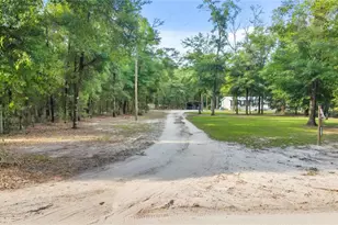 6679 NW 27th Pl, Bell, FL 32619 - Photo 33