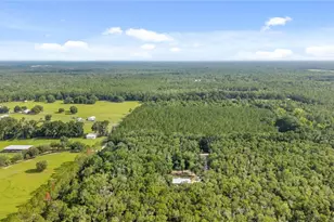 6679 NW 27th Pl, Bell, FL 32619 - Photo 53