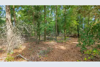6679 NW 27th Place, Bell, FL 32619 - Photo 9