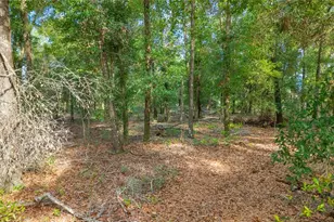 6679 NW 27th Pl, Bell, FL 32619 - Photo 9