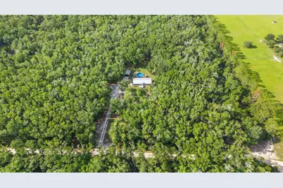 6679 NW 27th Place, Bell, FL 32619 - Photo 49