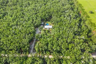 6679 NW 27th Pl, Bell, FL 32619 - Photo 49