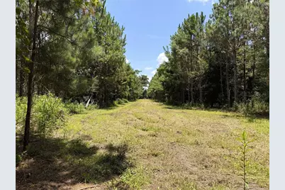 9970 SE 154th Avenue, White Springs, FL 32096 - Photo 9
