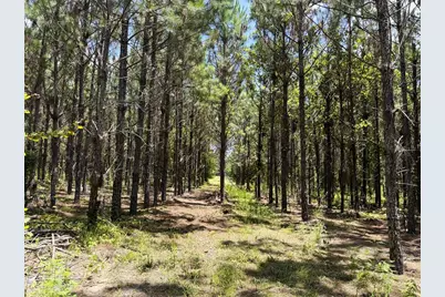 9970 SE 154th Avenue, White Springs, FL 32096 - Photo 11