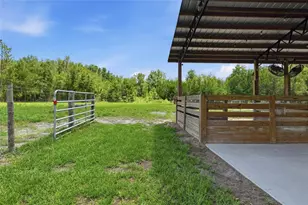 4889 SW 35th Trail, Bell, FL 32619 - Photo 31