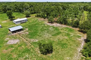 4889 SW 35th Trail, Bell, FL 32619 - Photo 39